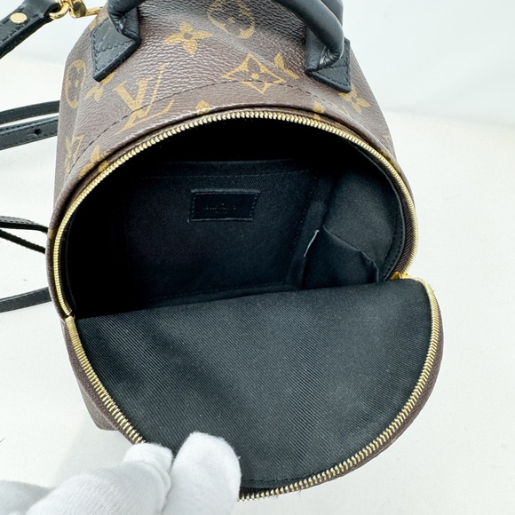 Louis Vuitton Palm Springs Mini Backpack - Picture 6 of 10